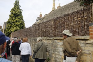 Wattle fence -- as in wattle and daub walls