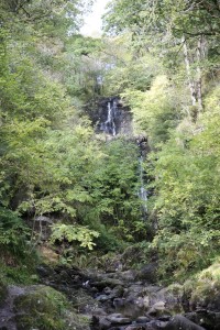 Little Fawn Waterfall